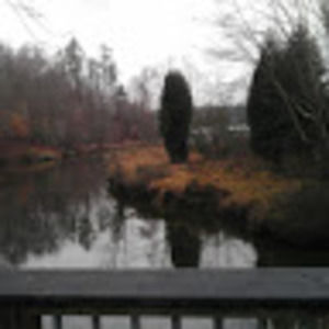 Meet your Posher, Rebeka